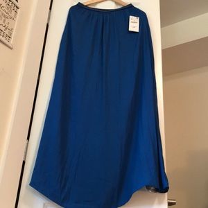 Zara maxi skirt